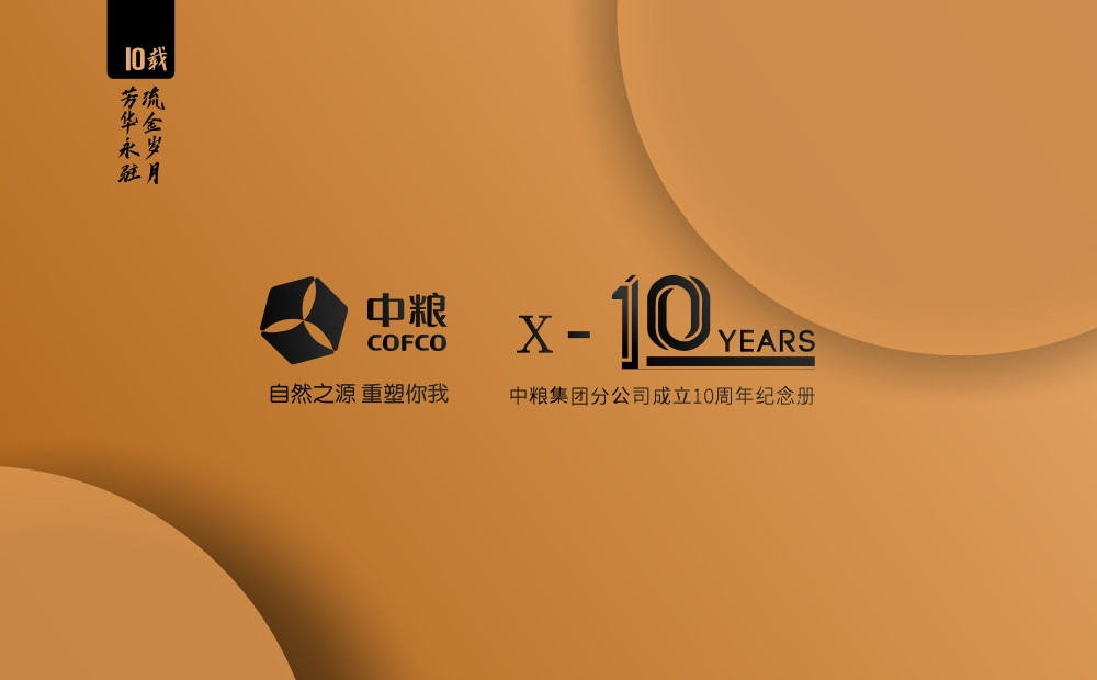 公司20周年庆纪念册